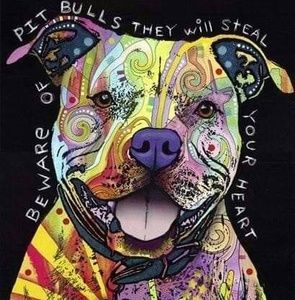 Meet your Posher, Lacey